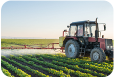 Agriculture & Allied Products
